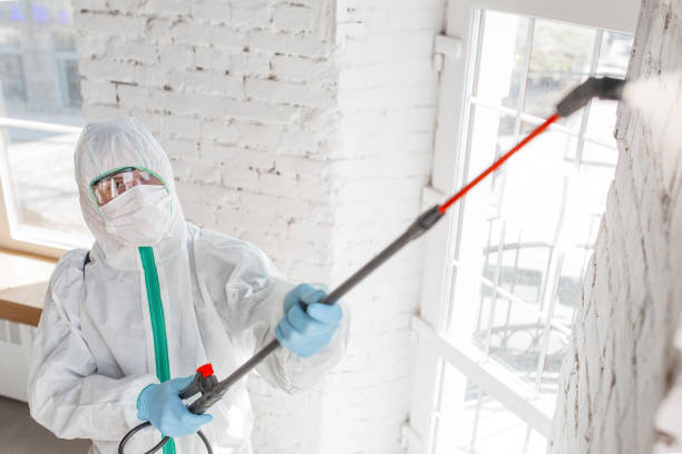  Sea Bright, NJ Mold Removal Pros