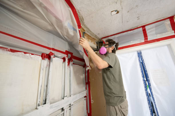 Best Mold Prevention Services  in Sea Bright, NJ